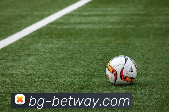 BETWAY必威官网服务体系